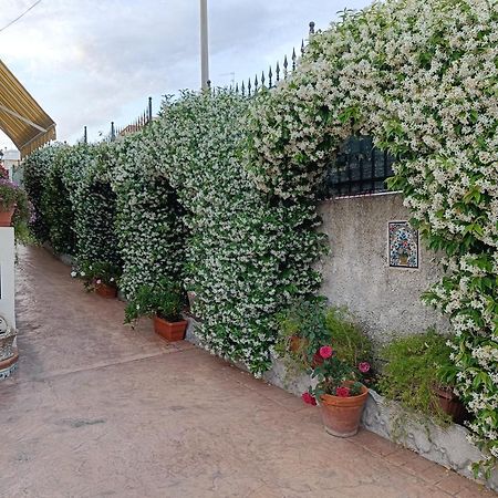 Bed And Breakfast Angolo Fiorito 치비타베키아 외부 사진
