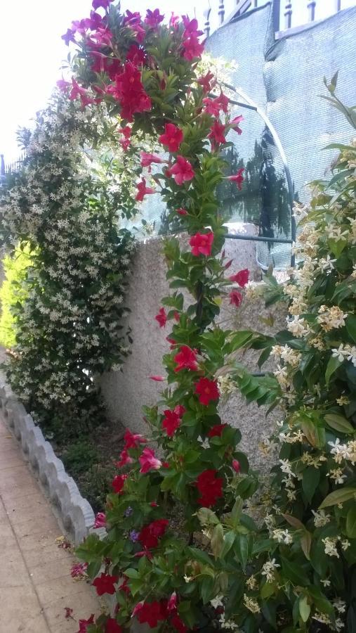 Bed And Breakfast Angolo Fiorito 치비타베키아 외부 사진