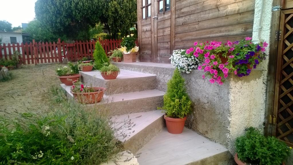 Bed And Breakfast Angolo Fiorito 치비타베키아 외부 사진