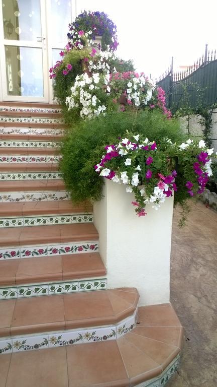Bed And Breakfast Angolo Fiorito 치비타베키아 외부 사진